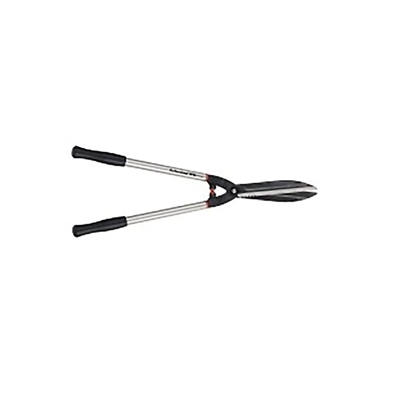 ibspot-15500419