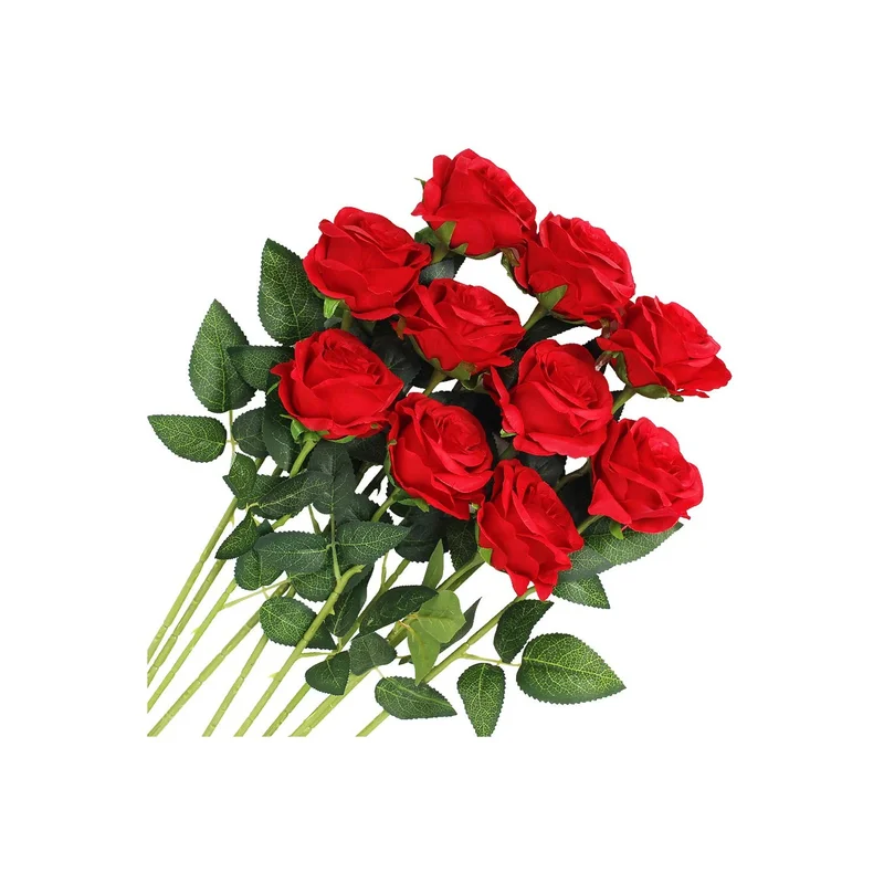 ibspot-16775066