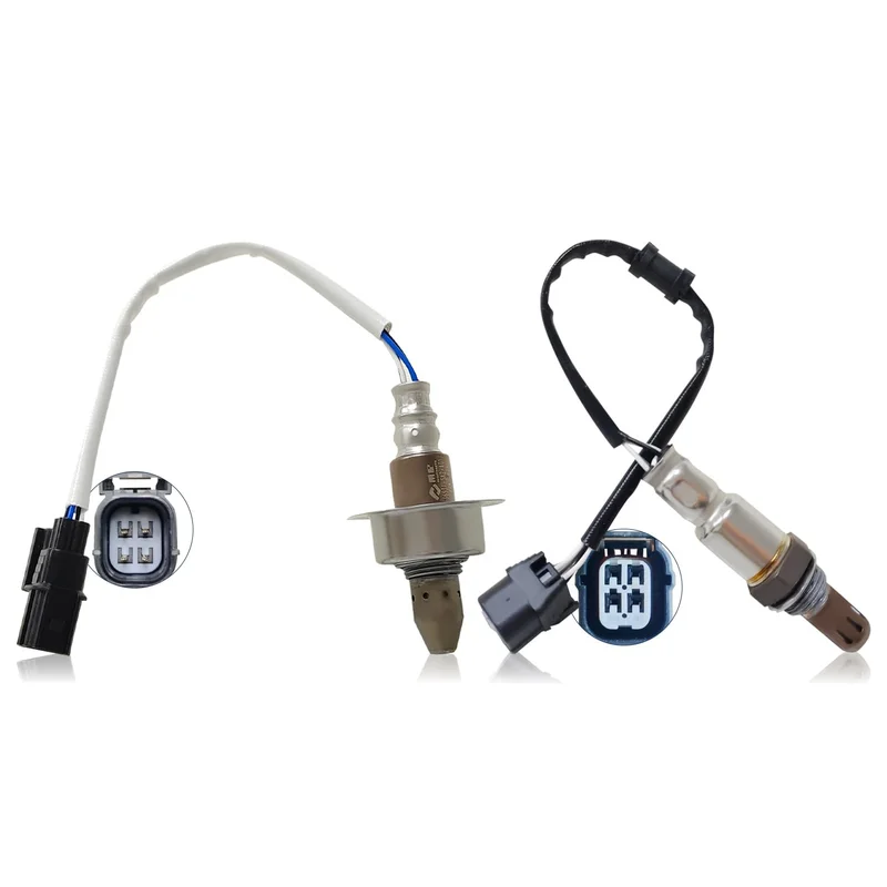 ibspot-3104583