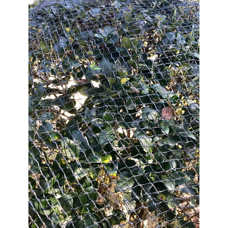 ibspot-43974068
