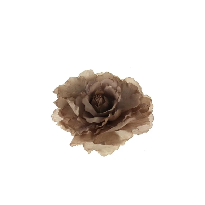 ibspot-44410306