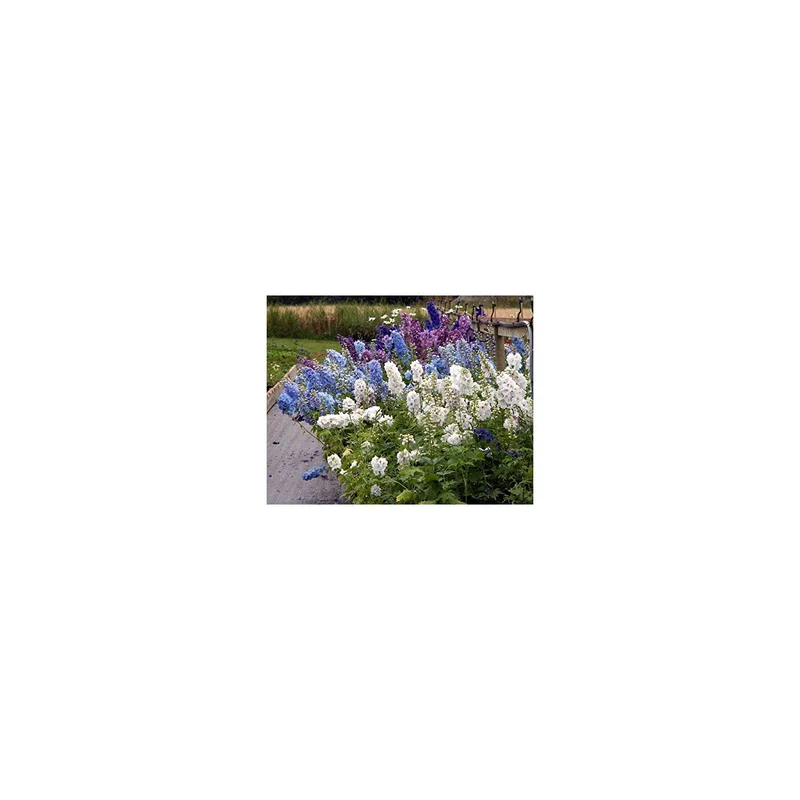 ibspot-44945866