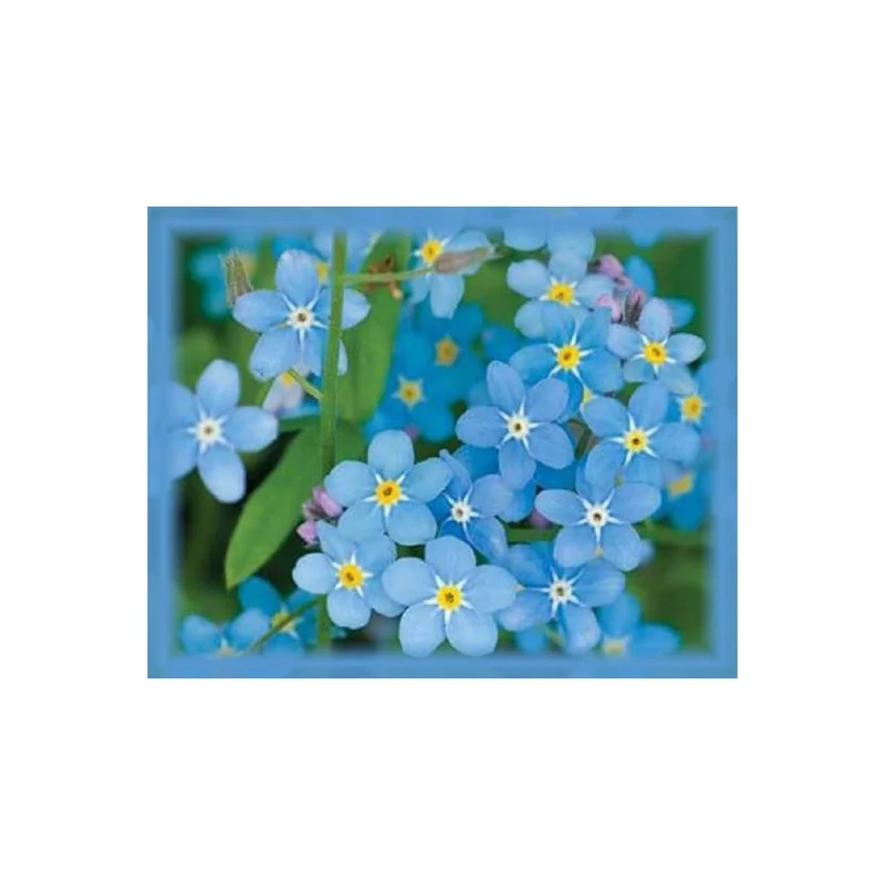 ibspot-45408221