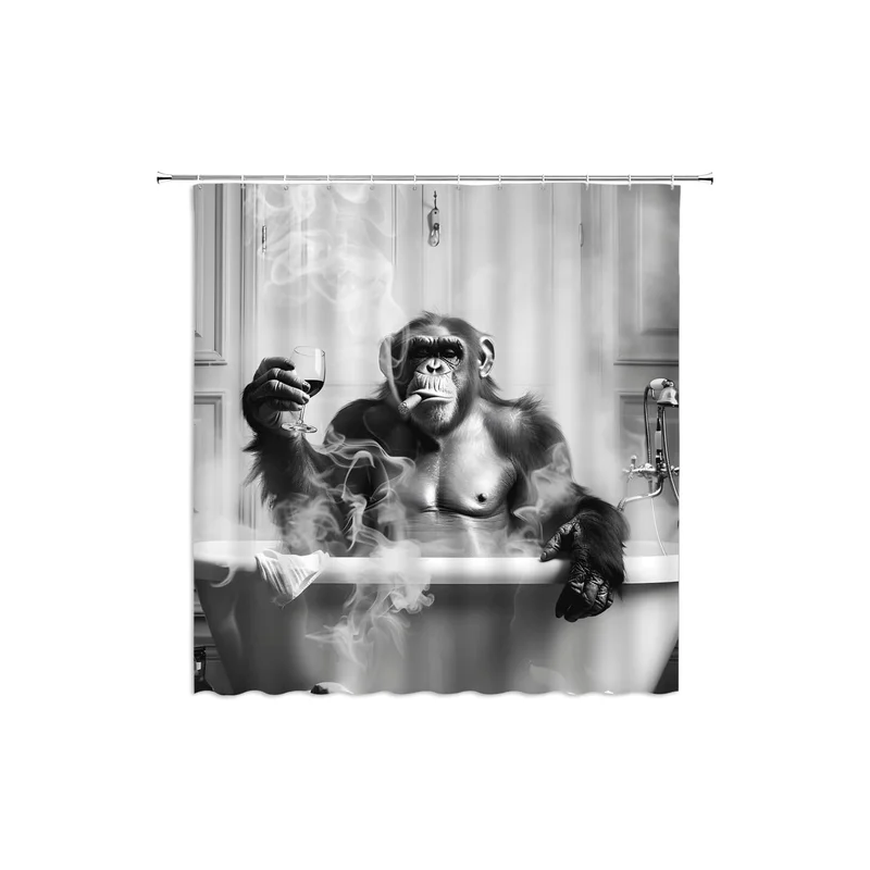 ibspot-54183329