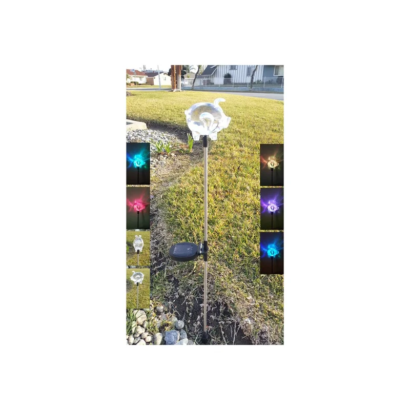 ibspot-54370902