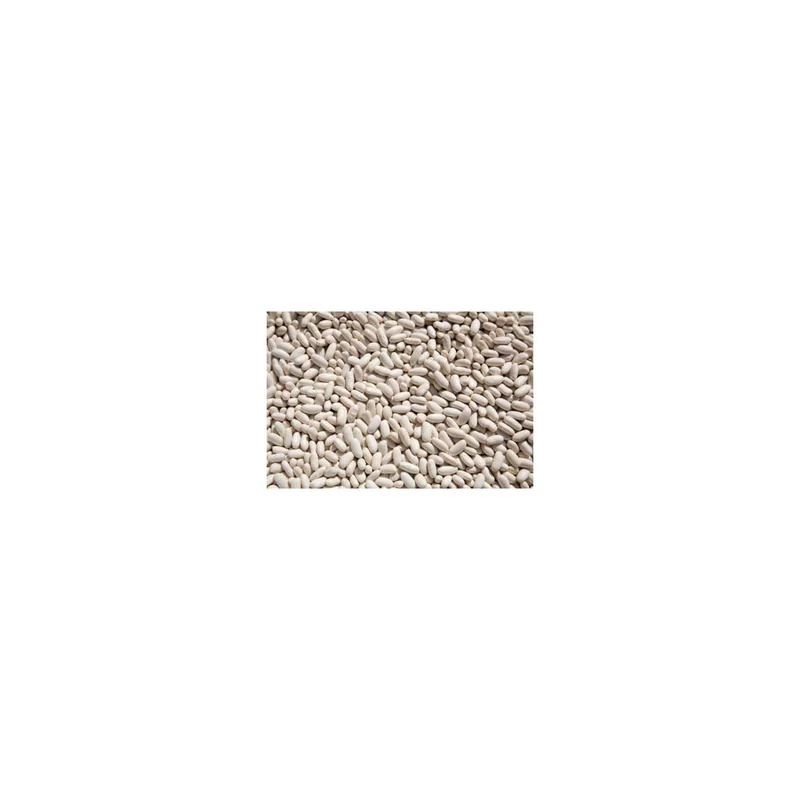 ibspot5300170