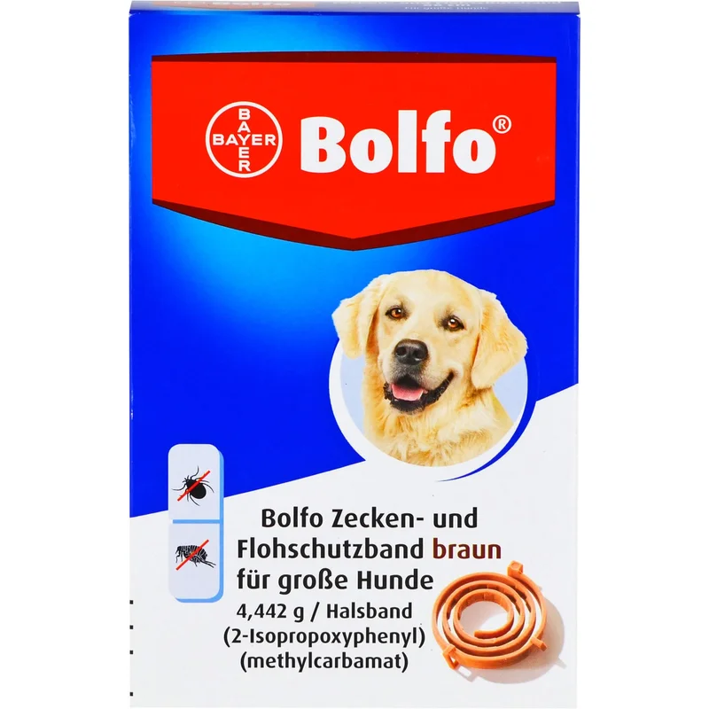 ibspot5929382
