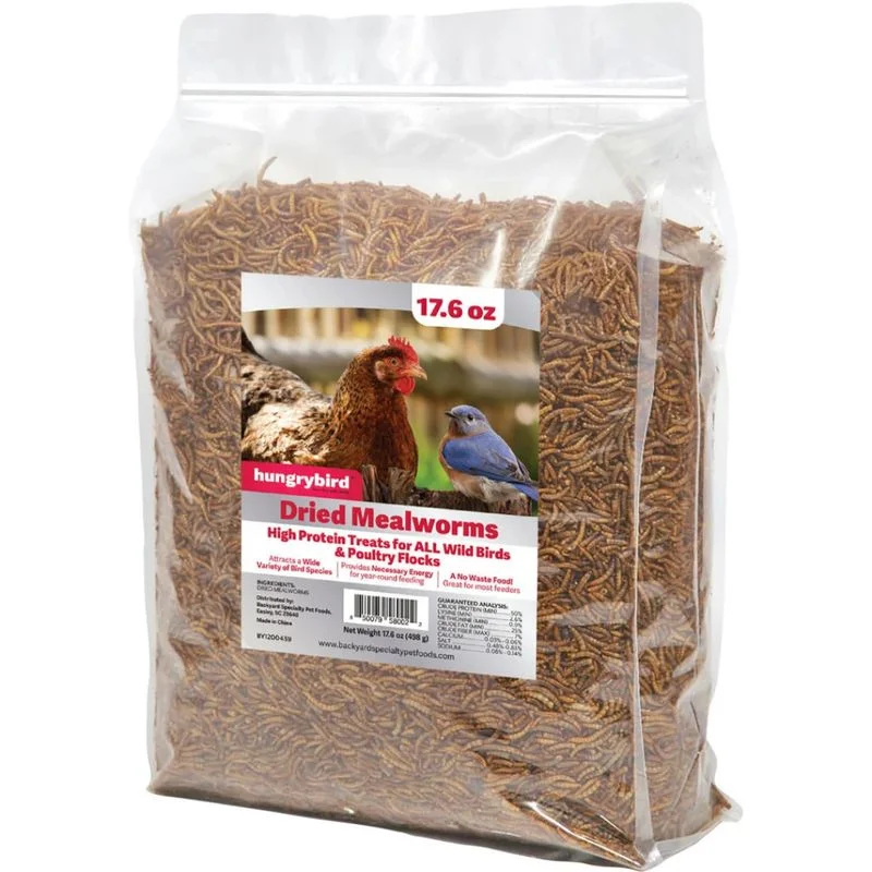 nissleyfeed4026862