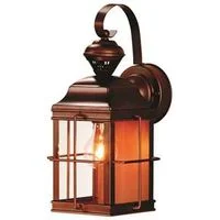 pettigrew-online4180279