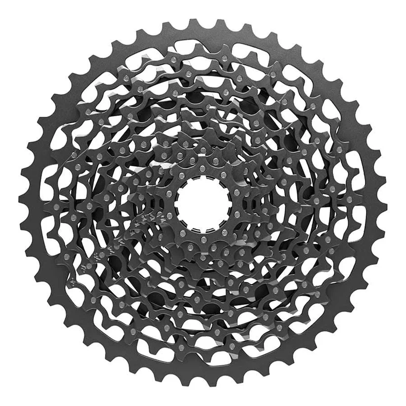 quantavici6663155