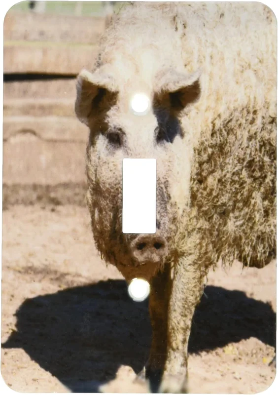 zeebooth-34163000