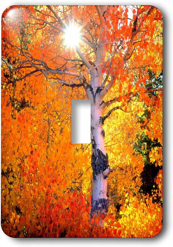 zeebooth-34163194