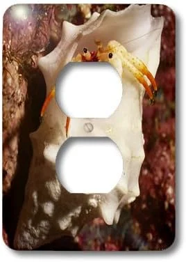 zeebooth-34163772