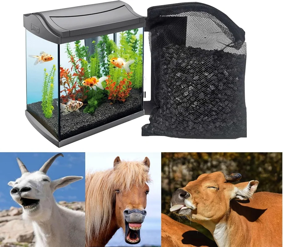 zeebooth-44467004