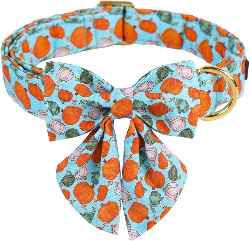 zeebooth-44472527