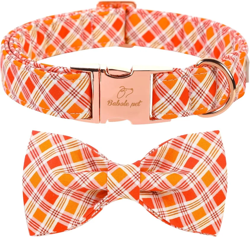 zeebooth-44547095